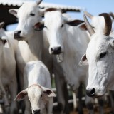 Destaque do Mês – 02/13